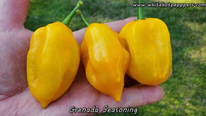 Grenada Seasoning - Pepper Seeds - White Hot Peppers