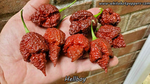 Hellboy - Pepper Seeds - White Hot Peppers