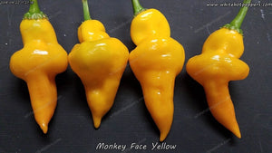 Monkey Face Yellow - Pepper Seeds - White Hot Peppers