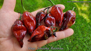 Naga Smooky Rainbow - Pepper Seeds - White Hot Peppers