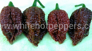 Nagabrains Chocolate - Pepper Seeds - White Hot Peppers