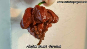 Naglah Beast Caramel - Pepper Seeds - White Hot Peppers