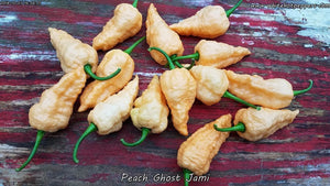 Peach Ghost Jami - Pepper Seeds - White Hot Peppers