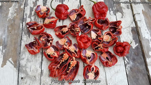 Purple Ghost Scorpion - Pepper Seeds - White Hot Peppers