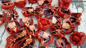 Purple Ghost Scorpion - Pepper Seeds - White Hot Peppers