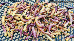 Purple Peach - Pepper Seeds - White Hot Peppers