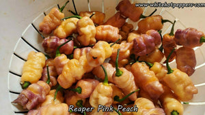 Reaper Pink Peach - Pepper Seeds - White Hot Peppers