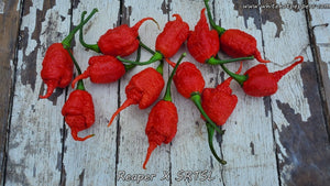 Reaper x SRTSL - Pepper Seeds - White Hot Peppers
