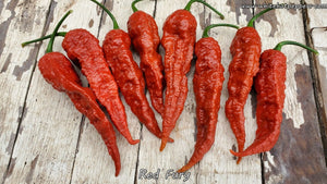 Red Fury - Pepper Seeds - White Hot Peppers