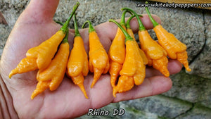 Rhino DD - Pepper Seeds - White Hot Peppers