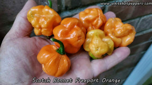 Scotch Bonnet Freeport Orange - Pepper Seeds - White Hot Peppers