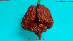 Skunk Chocolate - Pepper Seeds - White Hot Peppers