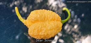 Star Scream - Pepper Seeds - White Hot Peppers