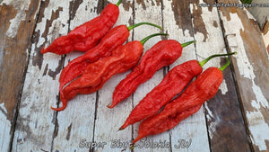 Super Bhut Jolokia JW - Pepper Seeds - White Hot Peppers