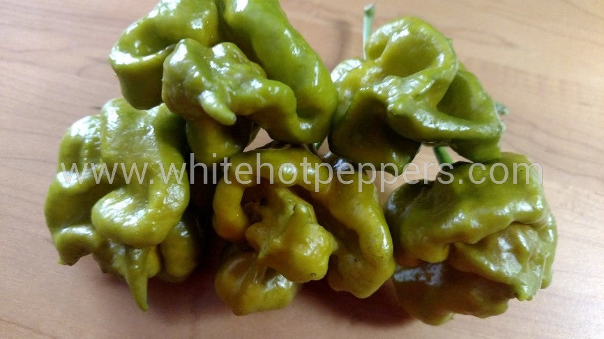 Swamp Thing - Pepper Seeds - White Hot Peppers