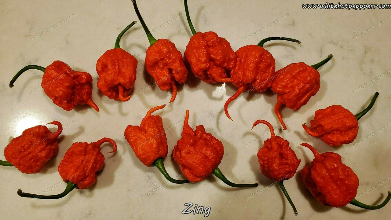 Zing - Pepper Seeds - White Hot Peppers